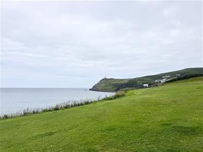 Picture 25
